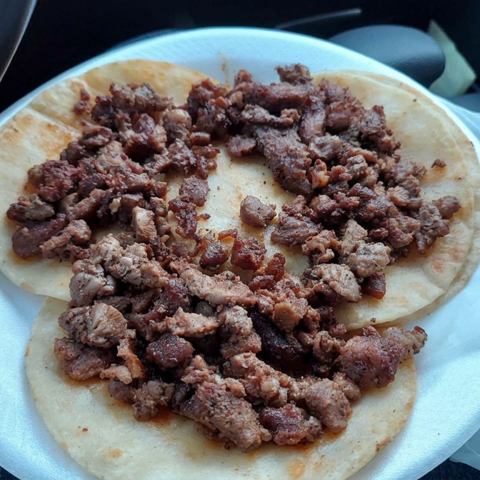 Two corn tortillas topped with seasoned grilled meat on a disposable plate inside a vehicle.